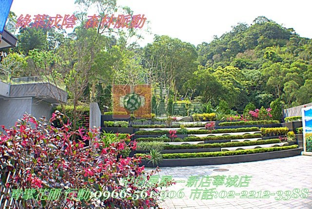 青山鎮青擘菁英別墅☆大台北華城☆康橋小學