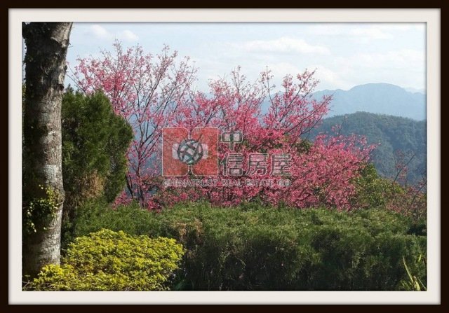 大榮路景觀別墅☆大台北華城特區☆青山鎮康橋學校