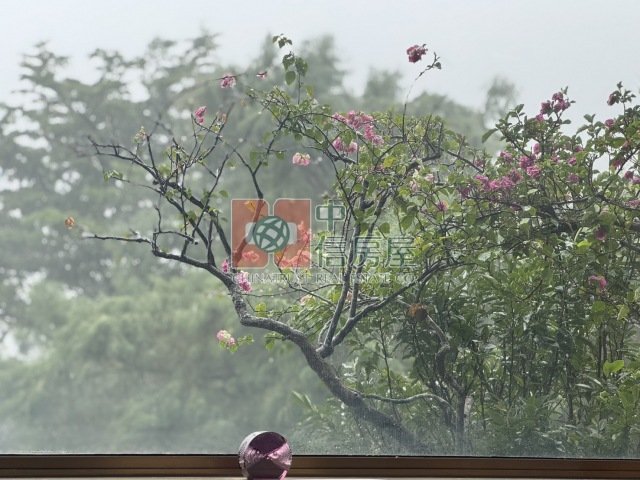 拎包入住・大台北華城石上清泉山景綠意第一排